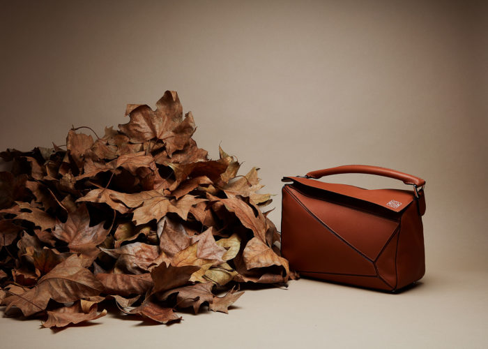 Maroquinerie d'automne : Loewe