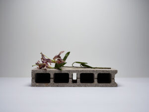 Fleurs concretes No.81