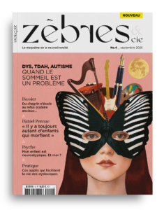 Couverture Zèbres No.04